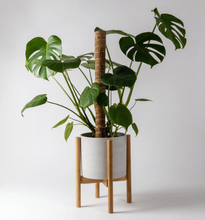 Load image into Gallery viewer, Adjustable Bamboo Plant Stand
