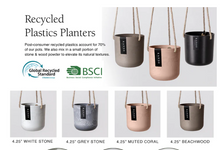 Load image into Gallery viewer, Signature Stone Hanging Planter 4"