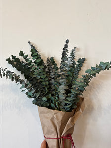 Preserved Eucalyptus baby blue