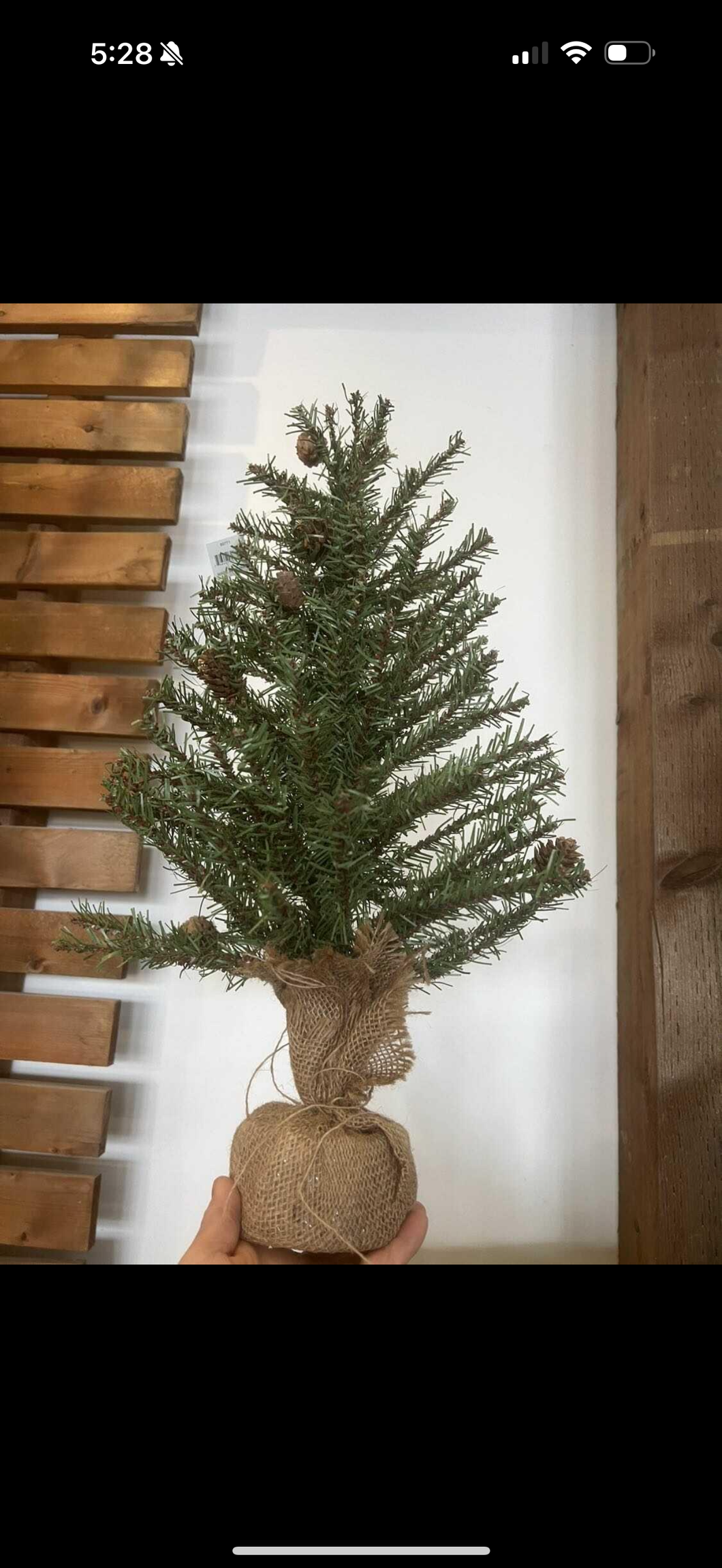 Tree with burlap base
