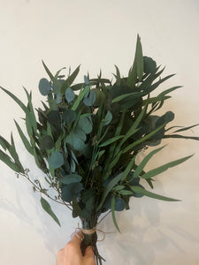 Preserved Eucalyptus Bundle