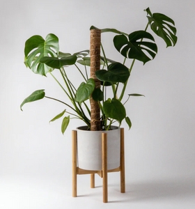 Adjustable Bamboo Plant Stand