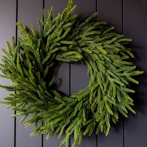 Norfolk Pine Real Touch Faux Christmas Wreath 24"