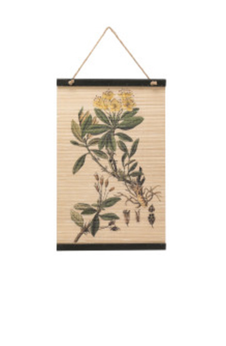 Printed Bamboo Scroll Floral