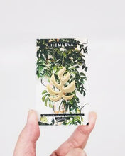 Load image into Gallery viewer, Hemleva Plant Pin
